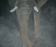 olifant pastel 30x40 cm.jpg
